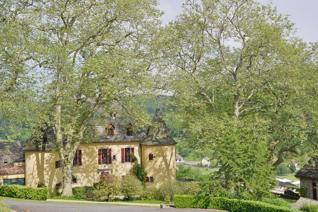 Chateau De Salles Vezac  Exterior photo