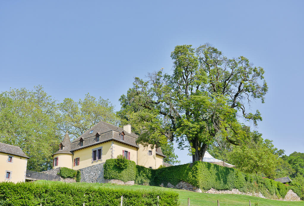 Chateau De Salles Vezac  Exterior photo